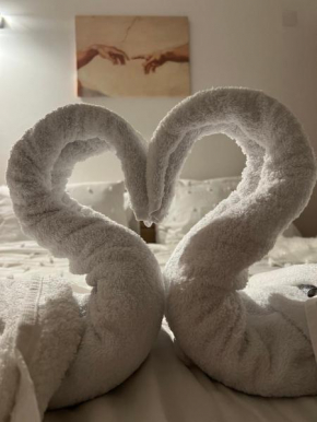 Cozy Oasis